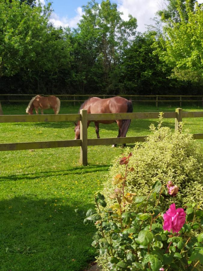 Le Clos Marie Sausseuzemare-en-Caux Exteriör bild